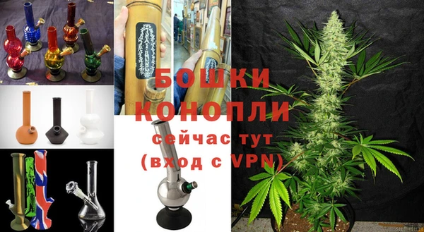 дживик Снежногорск