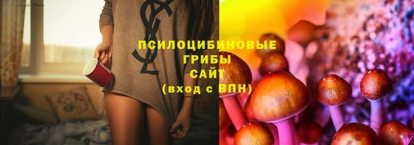spice Слюдянка