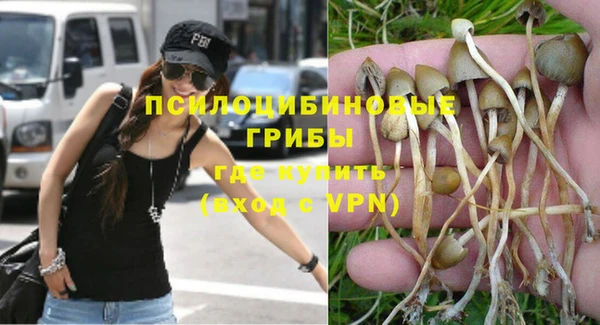 сатива Верхний Тагил